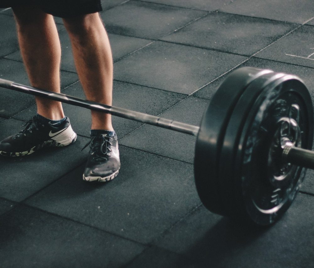 Your Life, The Muscle Your Life, The Muscle