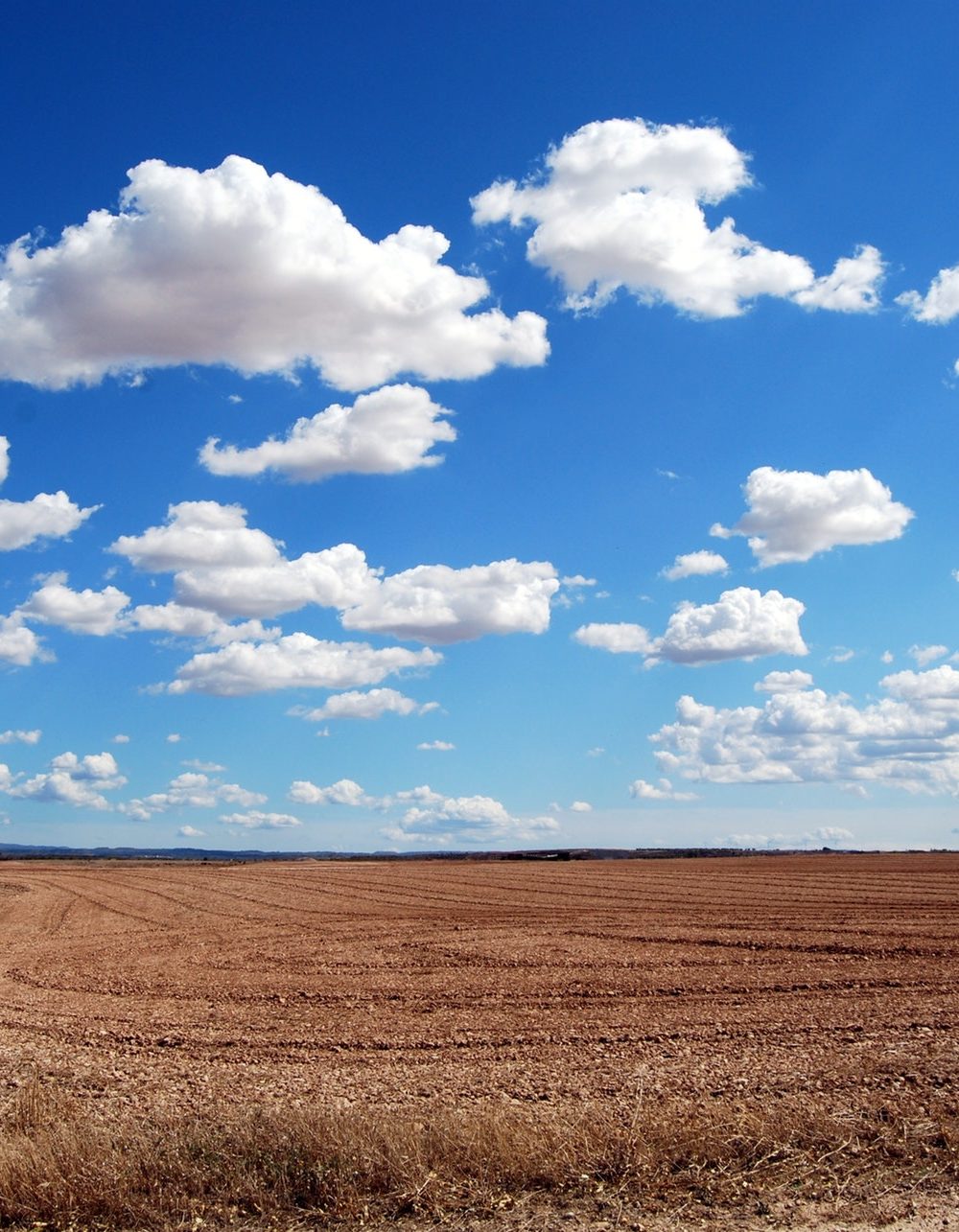 You Grow On the Horizon You Grow On the Horizon