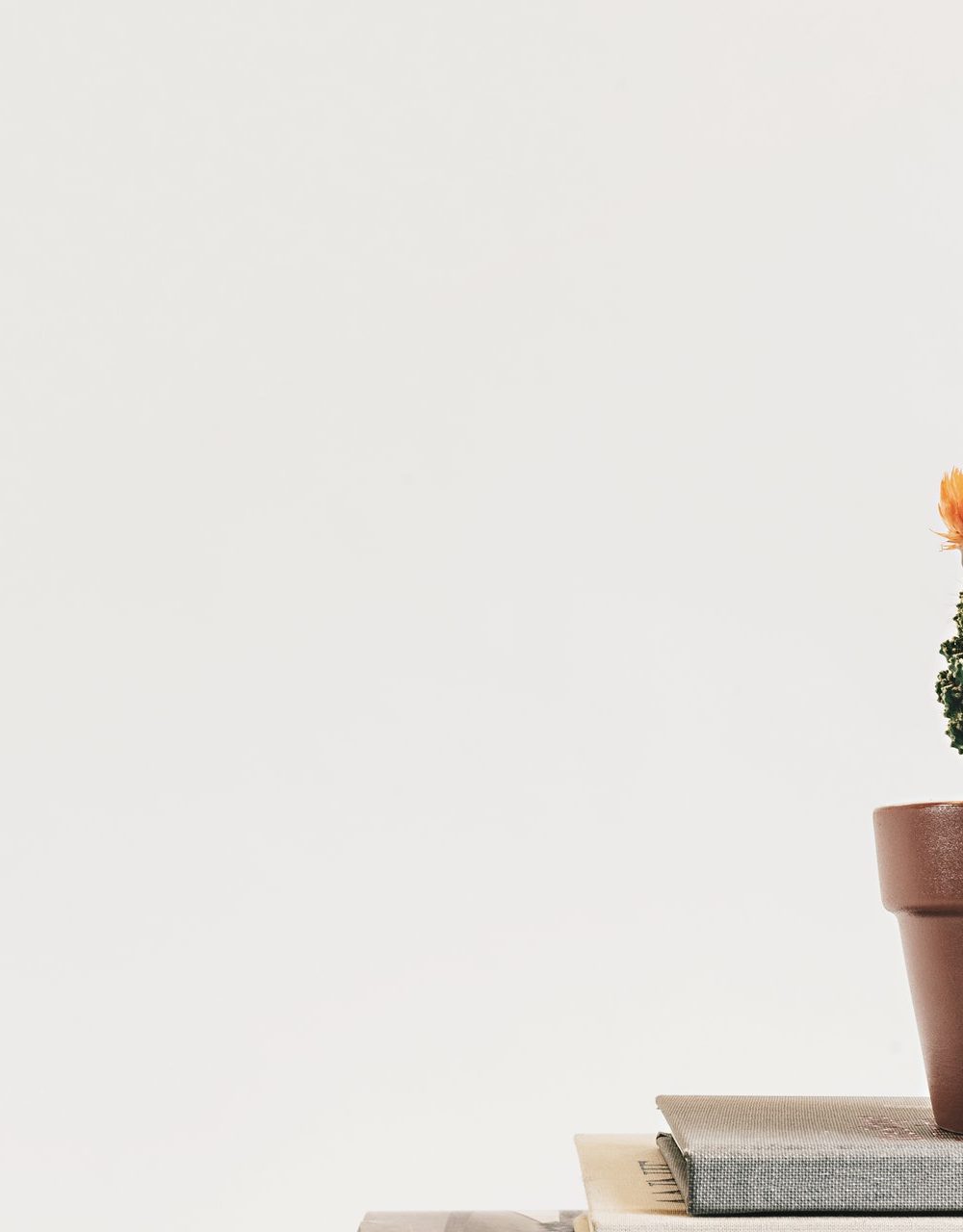 How To Simplify Your Possessions How To Simplify Your Possessions